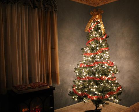 Leaving your Home Alone this Christmas?